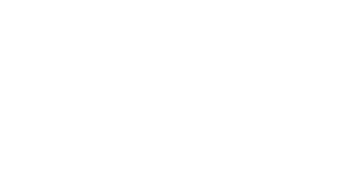 Black And Blaze Logo