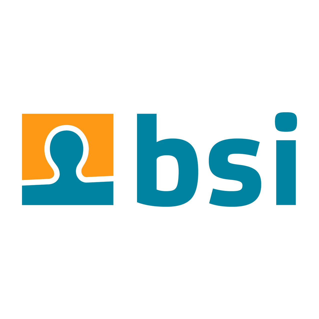 BSI-logo mit rand