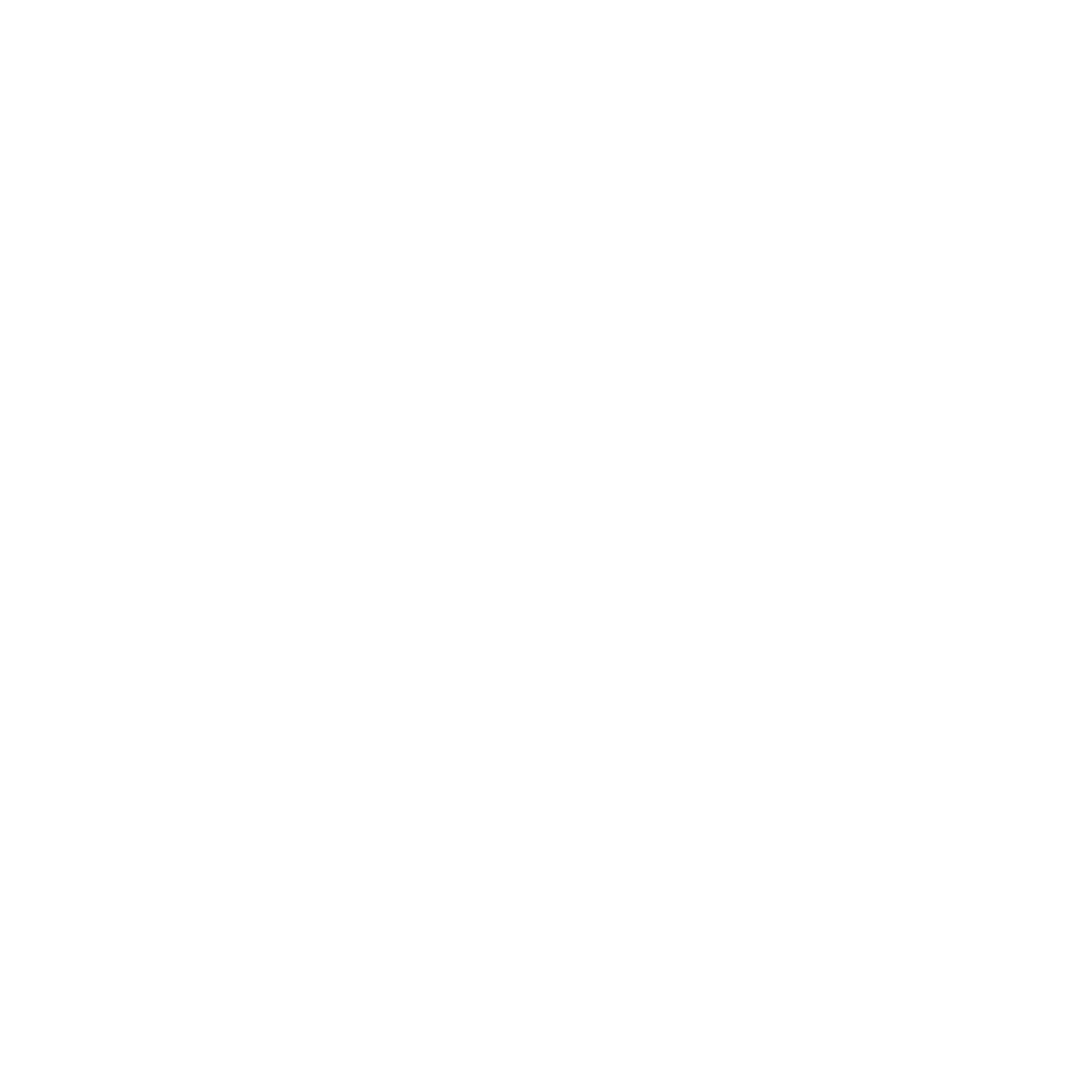 noun-compass-3682502-FFFFFF